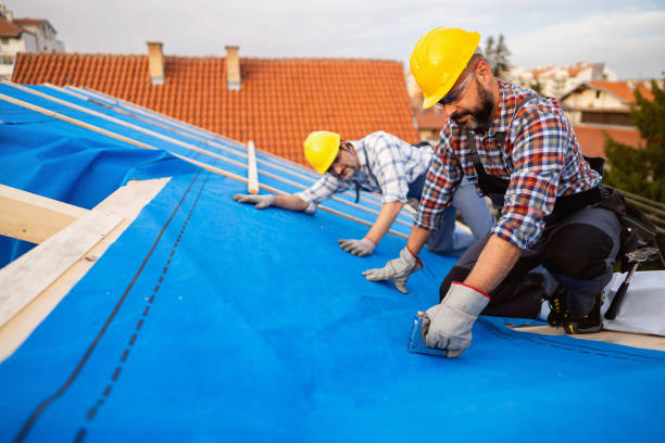 Best Storm Damage Roof Repair  in Lincolnwood, IL
